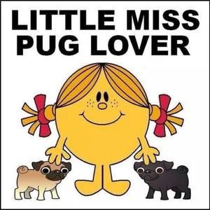 Meet your Posher, Staci